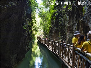 魅力趙家埡 魅力趙家埡